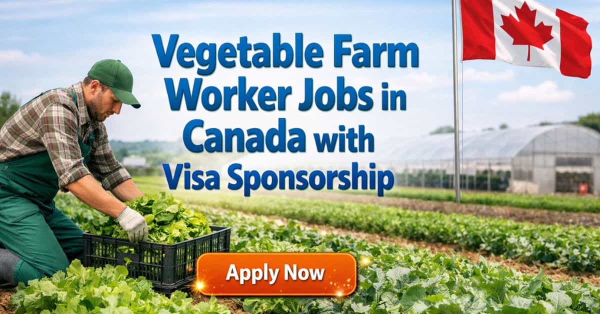 Vegetable Farm Worker Jobs in Canada with Visa Sponsorship