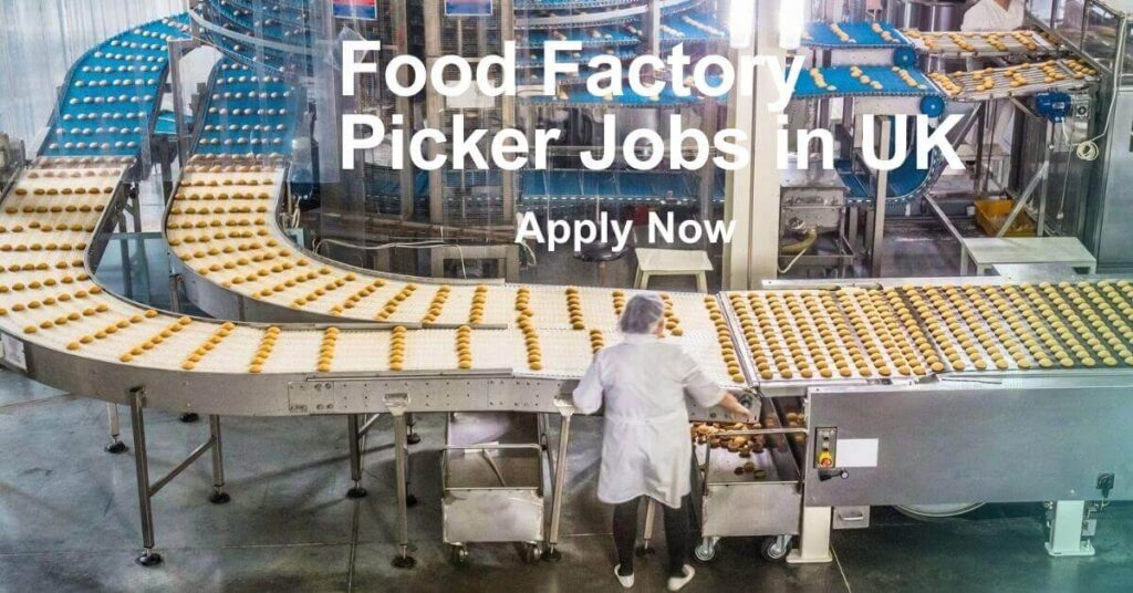Food Factory Picker Jobs in UK