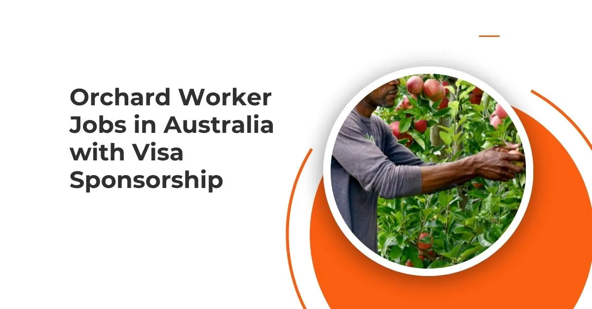 Orchard Worker Jobs in Australia