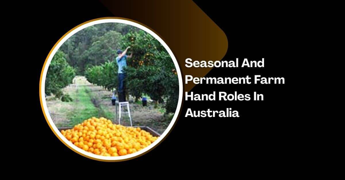 Seasonal And Permanent Farm Hand Roles In Australia