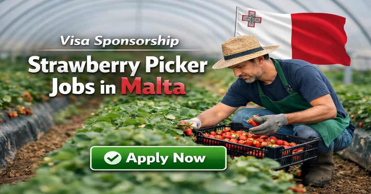 Visa Sponsorship Strawberry Picker Jobs in Malta