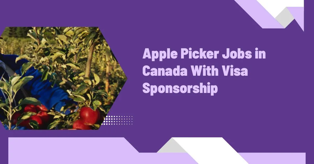 Apple Picker Jobs in Canada