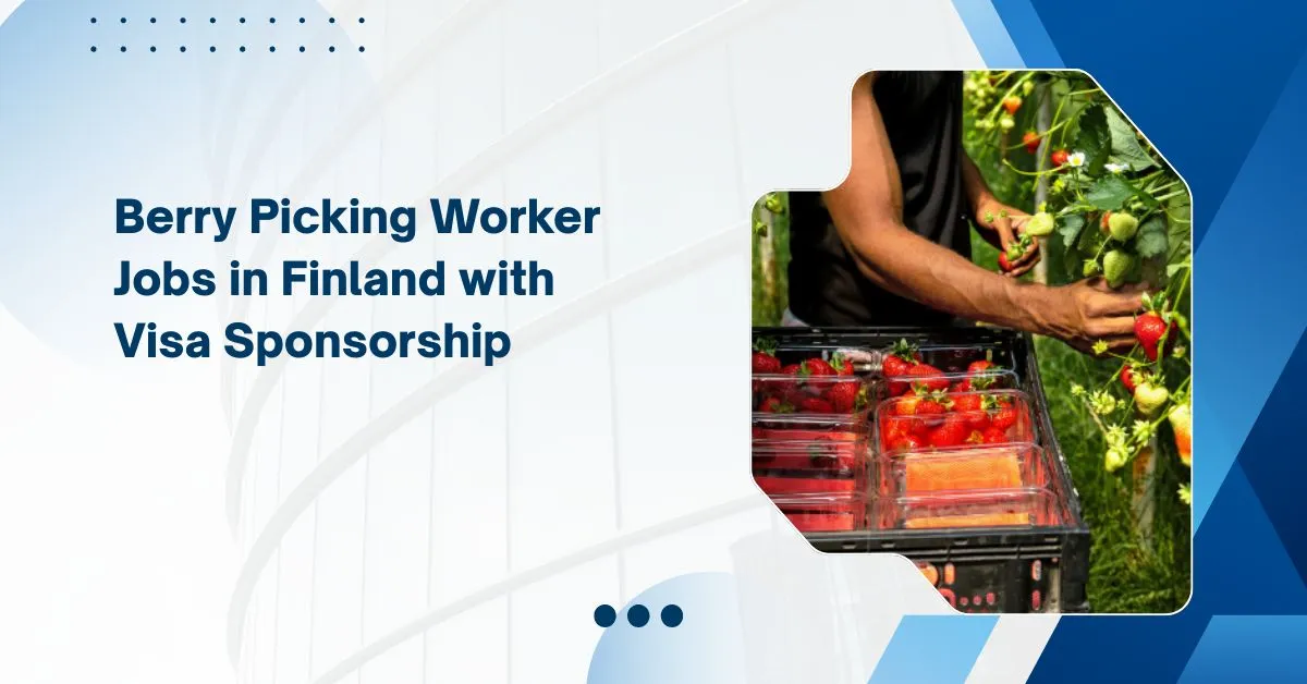 Berry-Picking Worker Jobs in Finland