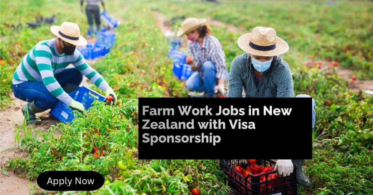 Farm Work Jobs in New Zealand with Visa Sponsorship
