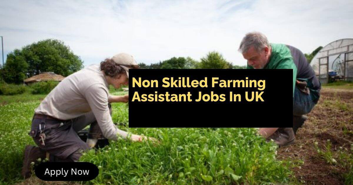 Non Skilled Farming Assistant Jobs In UK