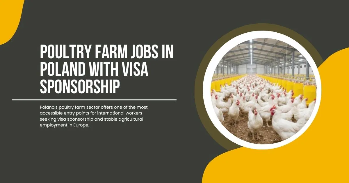 Poultry Farm Jobs in Poland