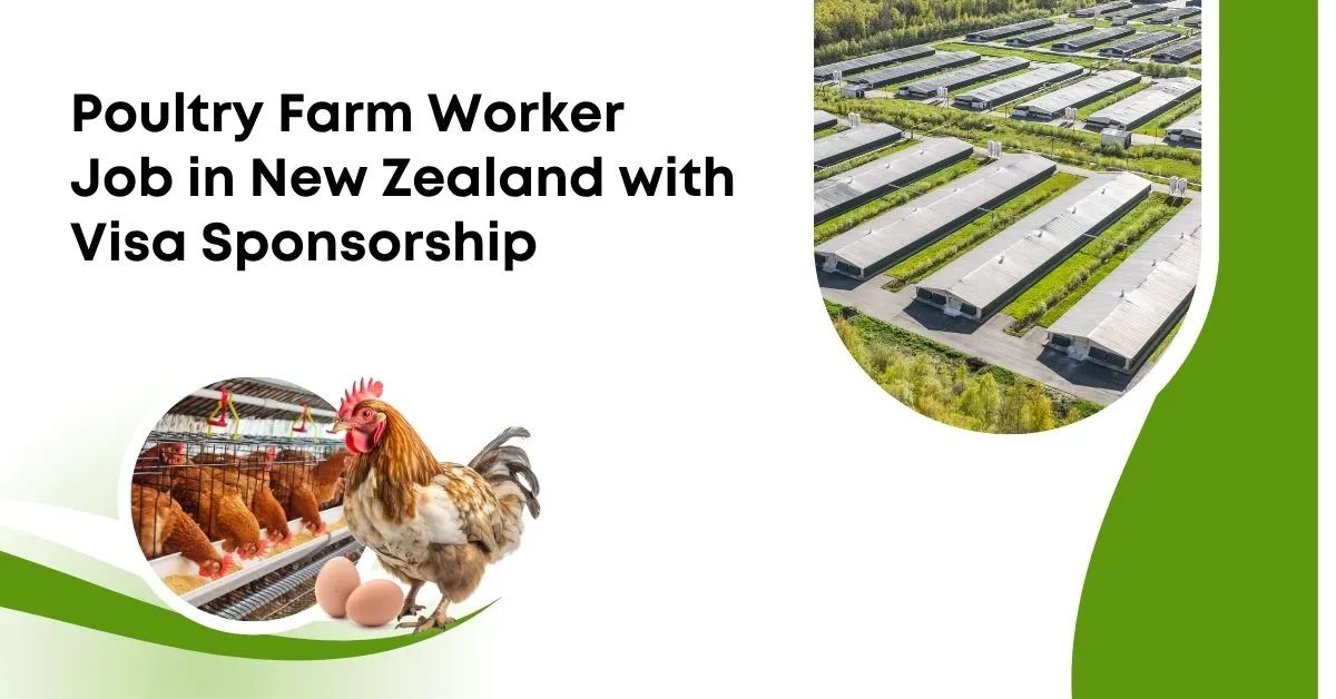 Poultry Farm Worker Job in New Zealand