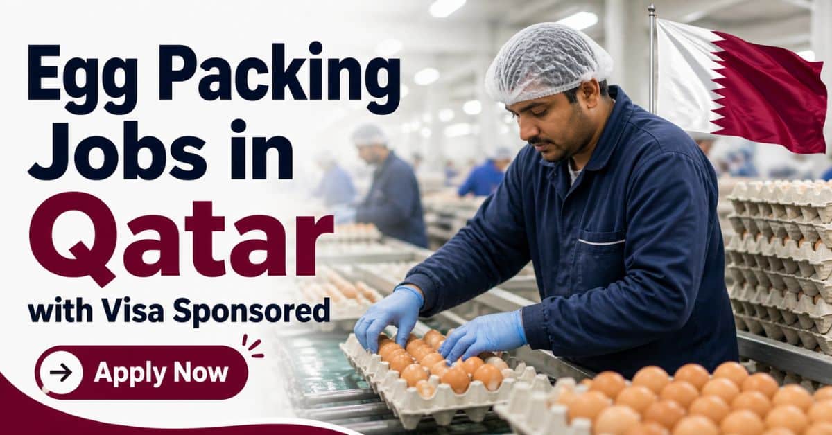 Egg Packing Jobs in Qatar with Visa Sponsored