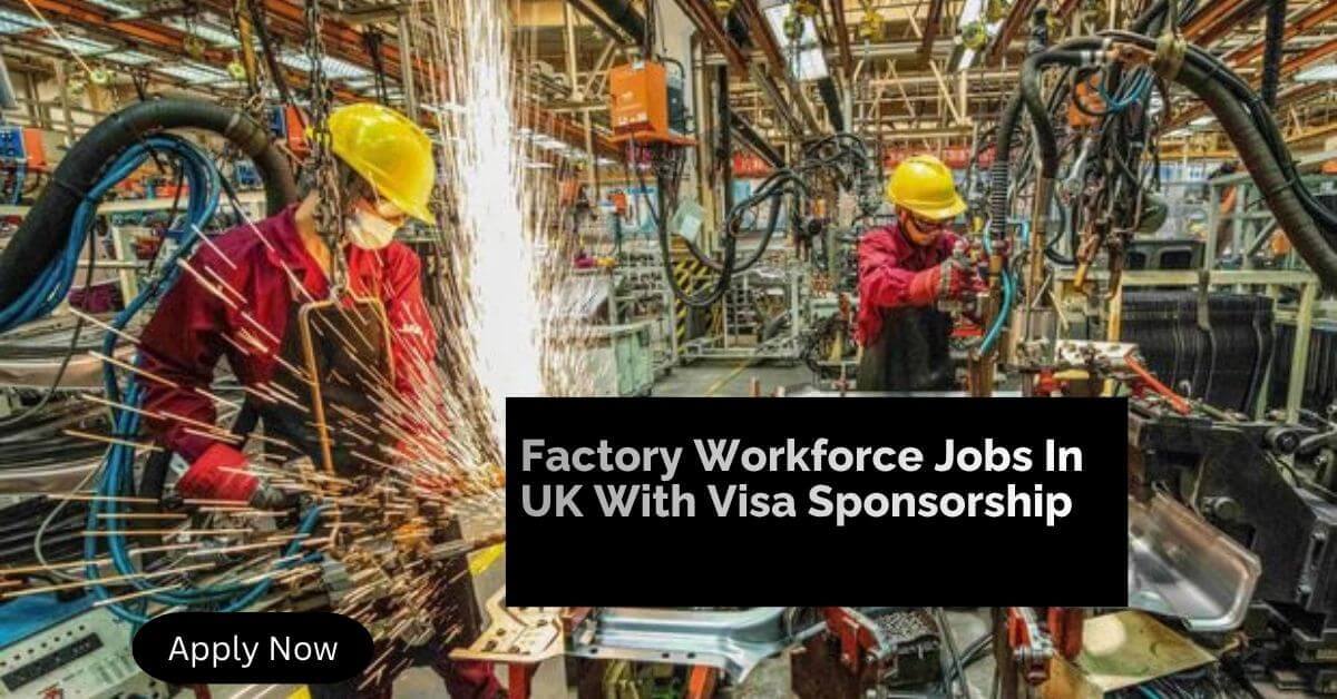 Factory Workforce Jobs In UK With Visa Sponsorship