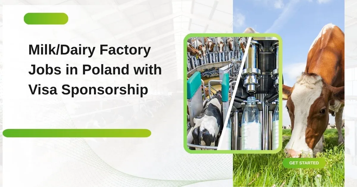 MilkDairy Factory Jobs in Poland