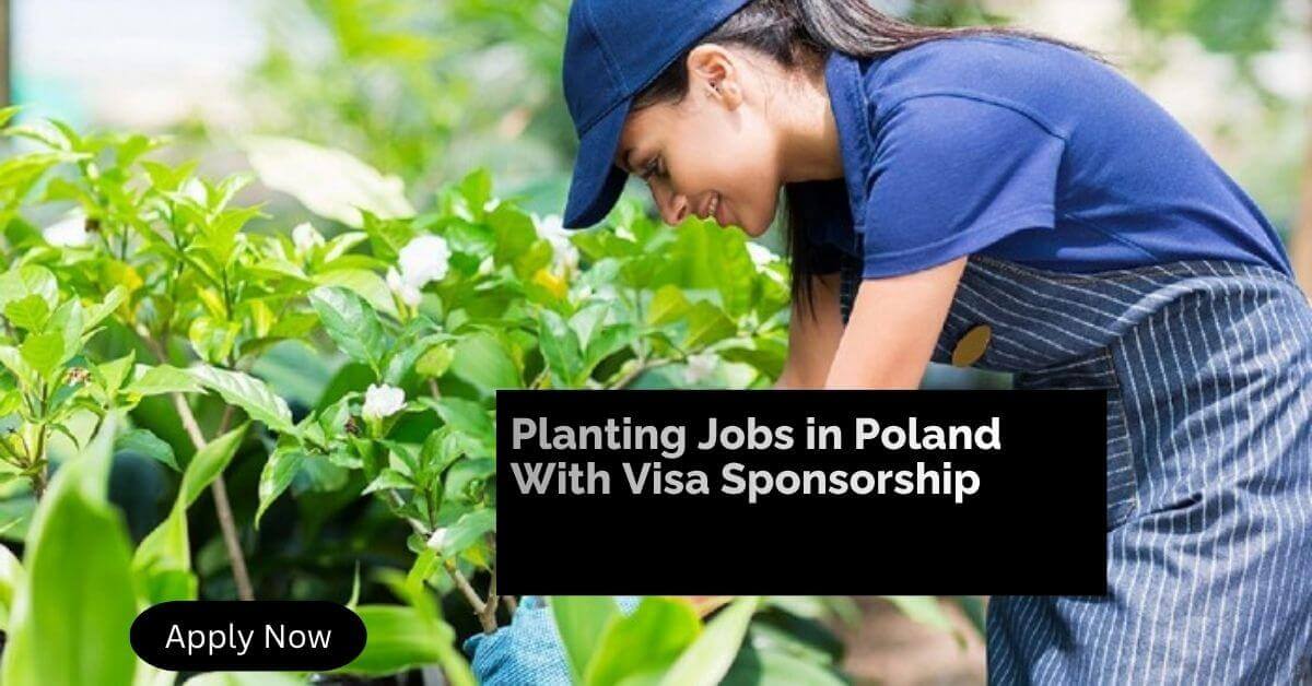 Planting Jobs in Poland With Visa Sponsorship