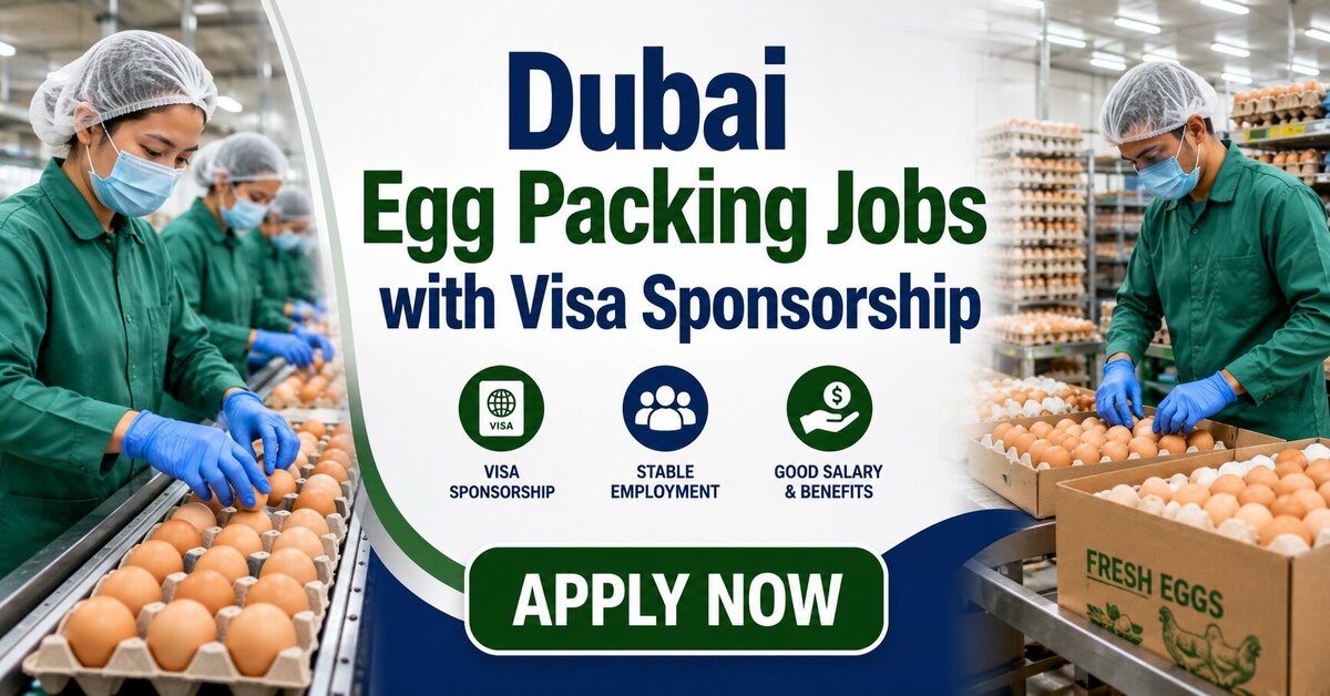 Dubai Egg Packing Jobs with Visa Sponsorship