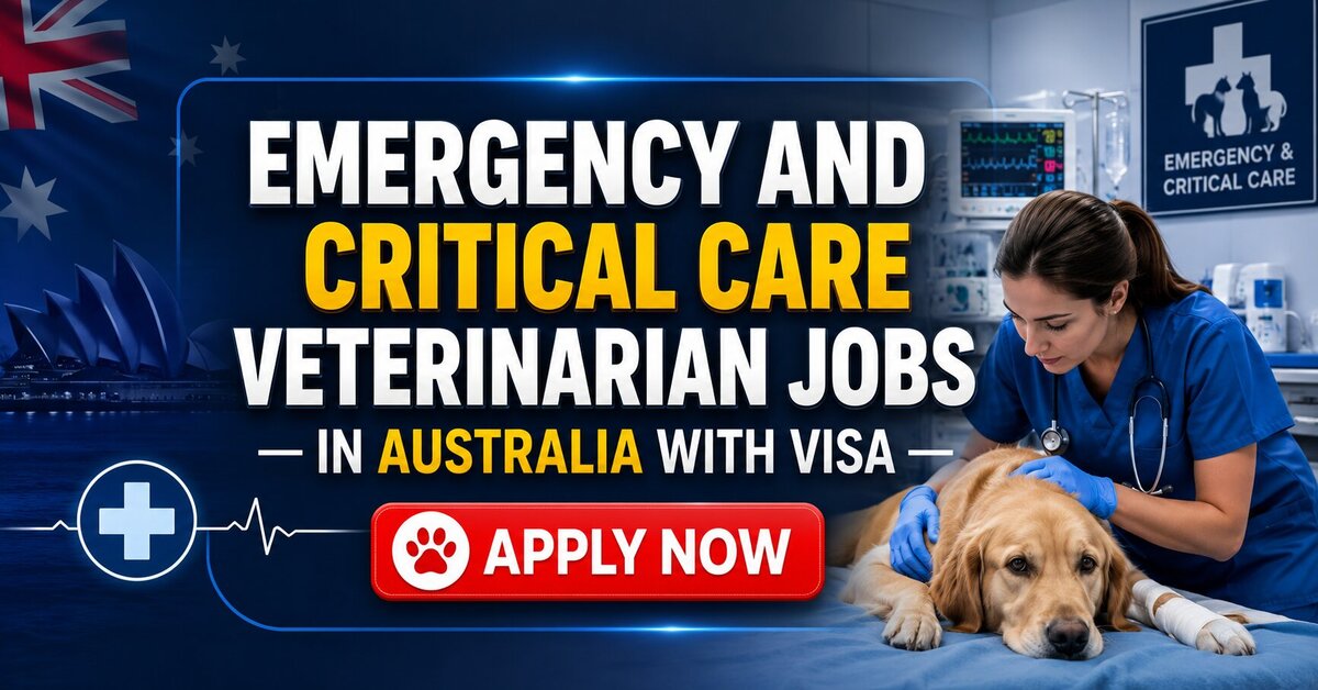 Emergency and Critical Care Veterinarian Jobs in Australia with Visa