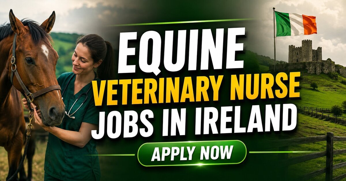 Equine Veterinary Nurse Jobs in Ireland