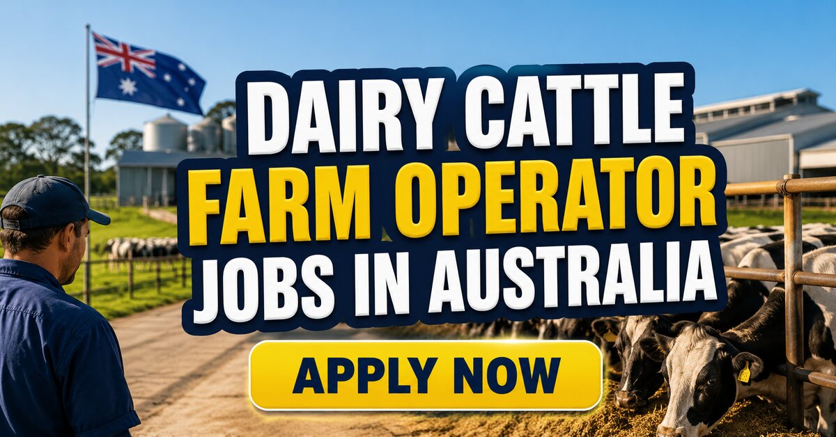 Dairy Cattle Farm Operator Jobs in Australia